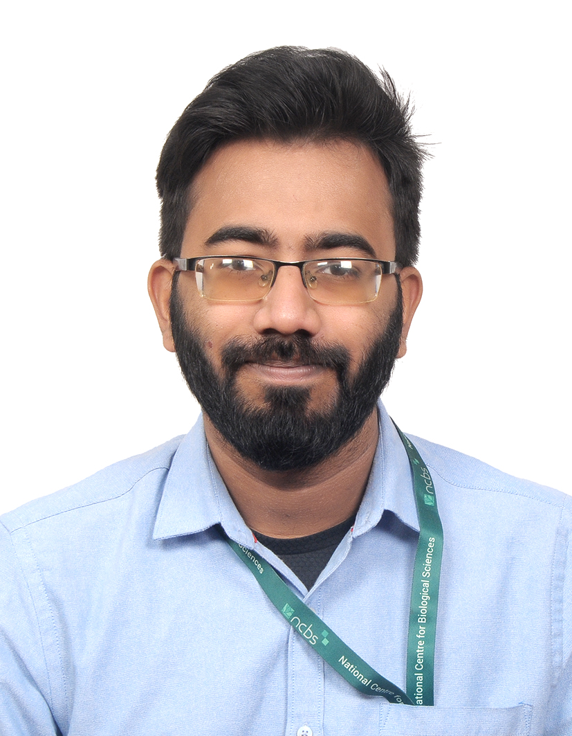 Ramdev Krishnan J